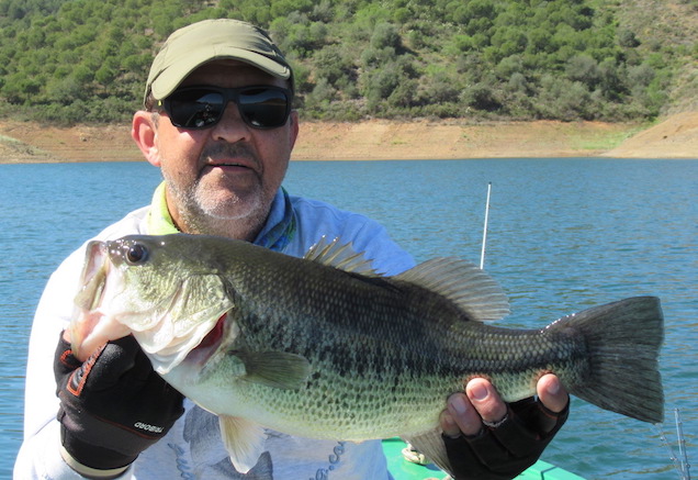 Largemouth Bass